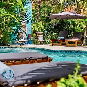 4* Отель Pietermaai Boutique